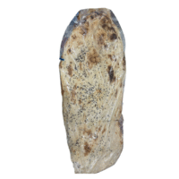 Untitled design (39)