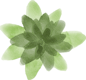 اسلایدر تصویر 2